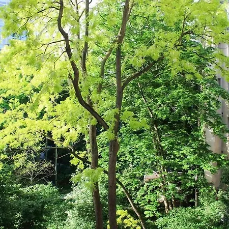 Beautiful Near Luxembourg Gardens Apartment Paris
